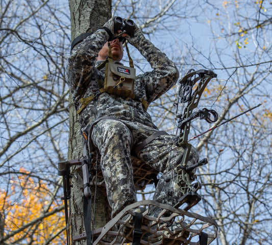 Beginner's Guide to Bowhunting