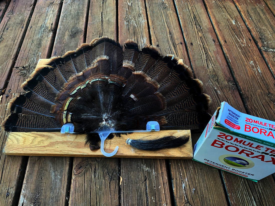 Turkey Fan Mounting Tips